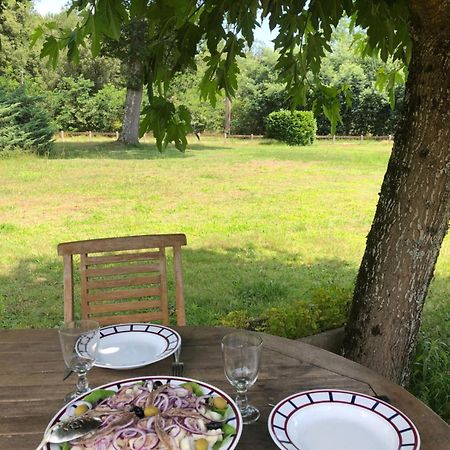 Appartement En Pleine Nature Soustons Buitenkant foto