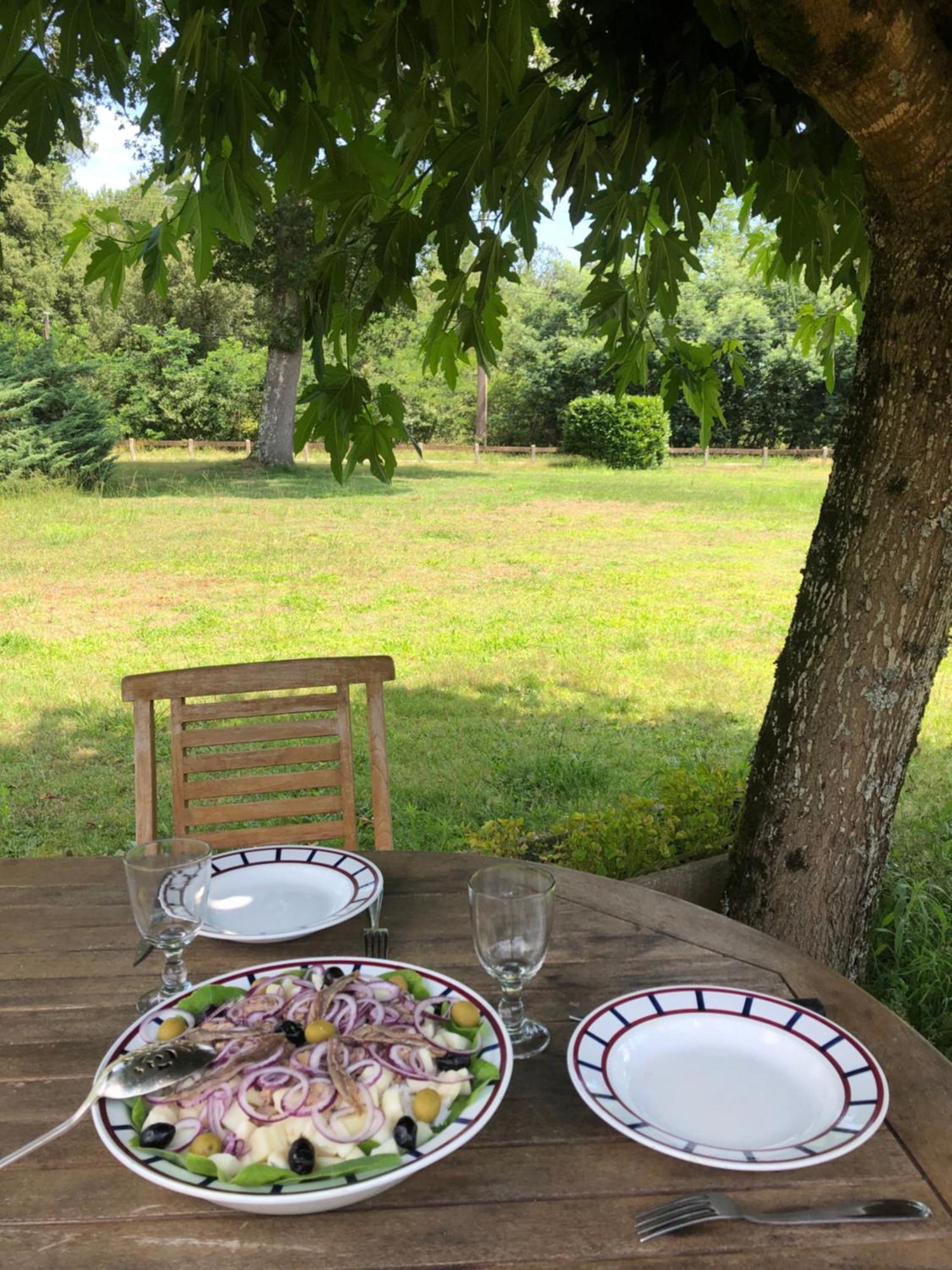 Appartement En Pleine Nature Soustons Buitenkant foto